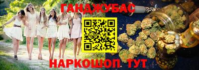 сатива Нальчик
