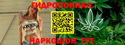 сатива Нальчик