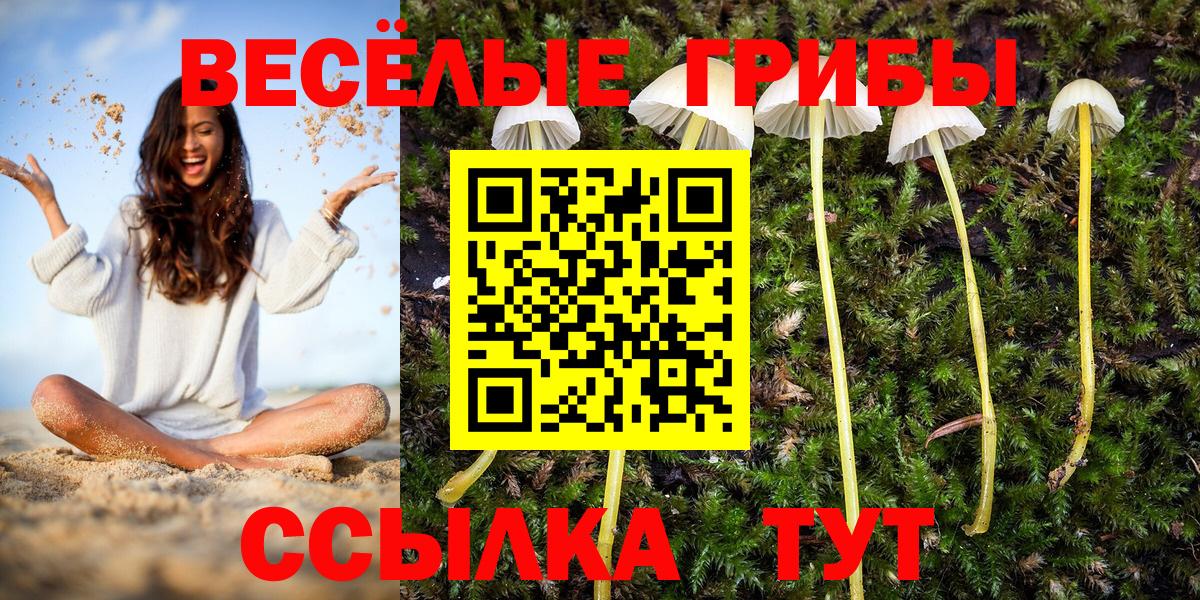 Псилоцибиновые грибы мухоморы Балашов