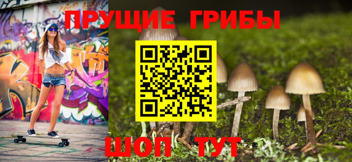 Галлюциногенные грибы Psilocybe  Псилоцибиновые грибы мухоморы  Балашов  где можно купить   Вход с VPN 